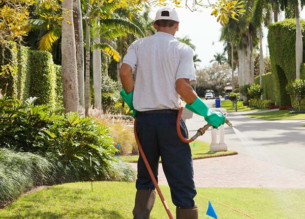 About Winigan MO Pest Control